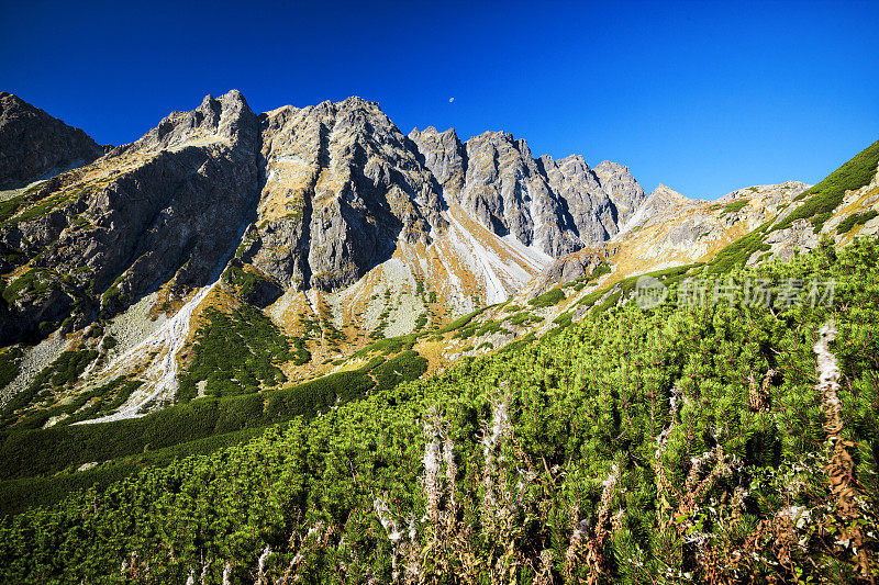 洛美峰 - 洛基普莱索湖景观